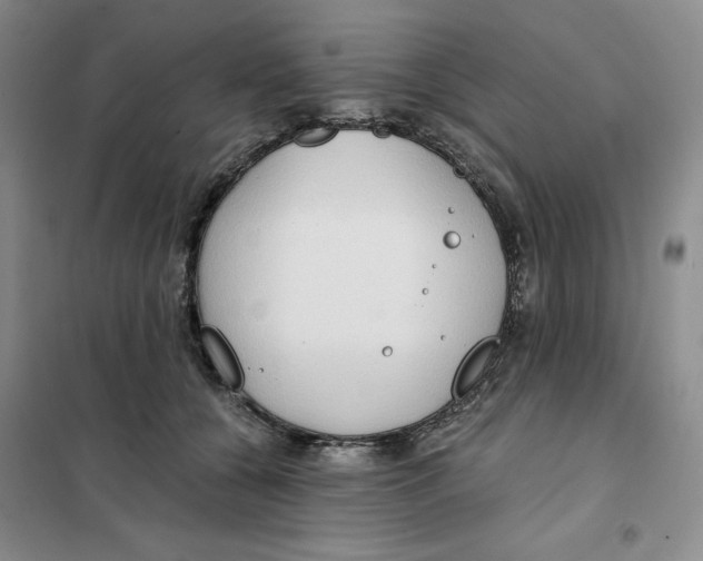 X0000101120560200807241202