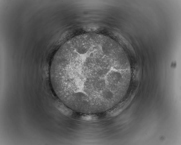 X0000101120561200807241202