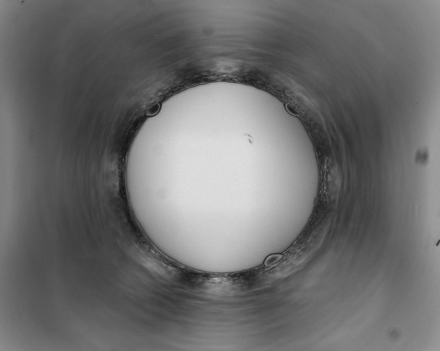 X0000101120562200807241202