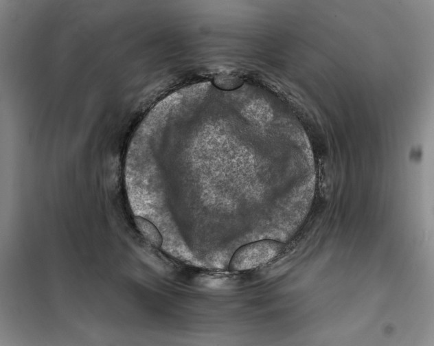 X0000101120563200807241202