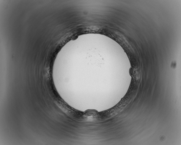 X0000101120564200807241202