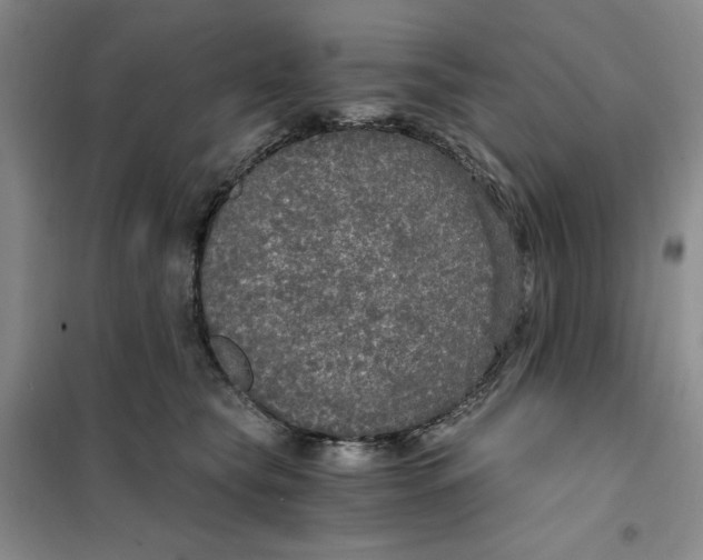 X0000101120565200807241202