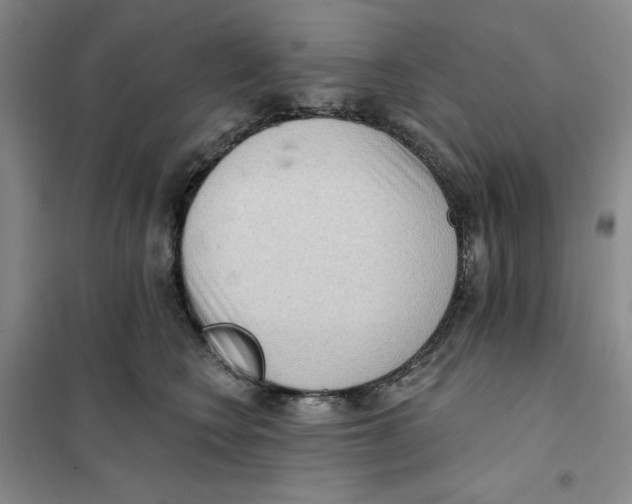 X0000101120566200807241202