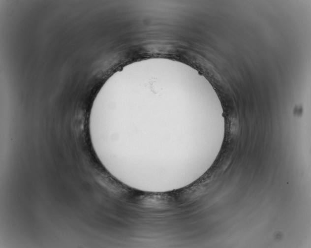 X0000101120567200807241202
