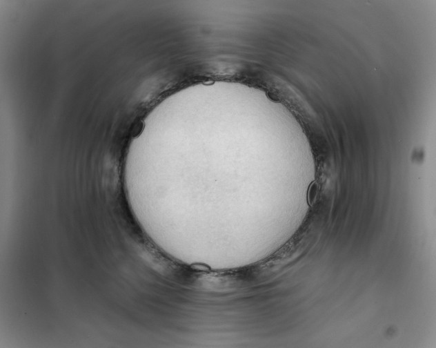 X0000101120568200807241202