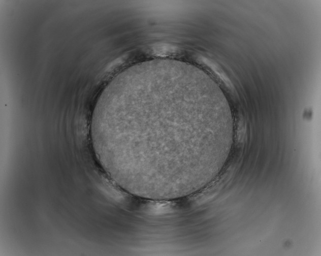 X0000101120569200807241202
