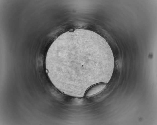 X0000101120570200807241202