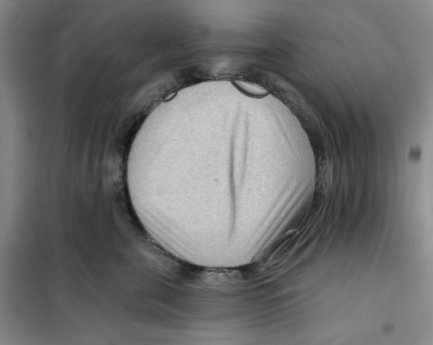 X0000101120571200807241202