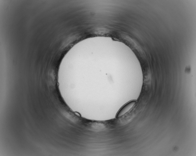 X0000101120572200807241202