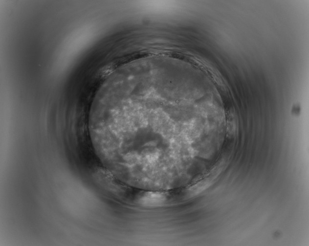 X0000101120573200807241202
