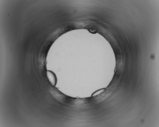 X0000101120574200807241202