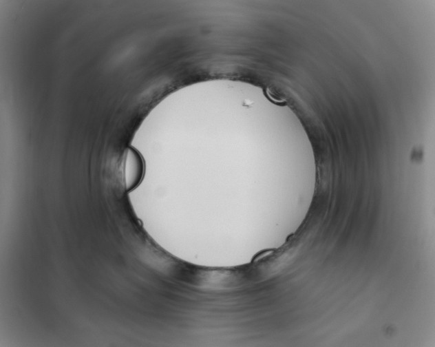 X0000101120575200807241202