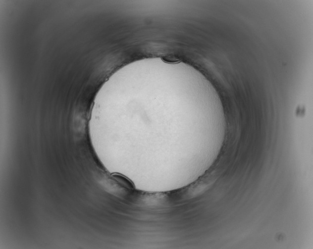 X0000101120576200807241202