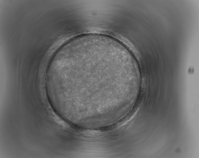 X0000101120577200807241201