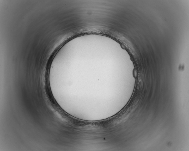 X0000101120578200807241201