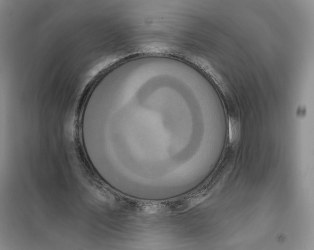 X0000101120579200807241201