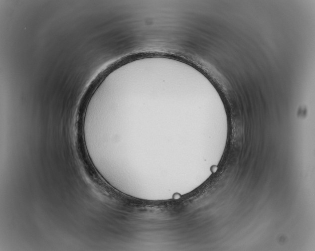 X0000101120580200807241201