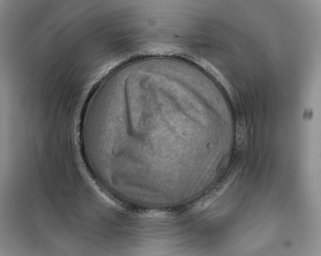 X0000101120581200807241201