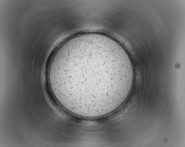 X0000101120582200807241201