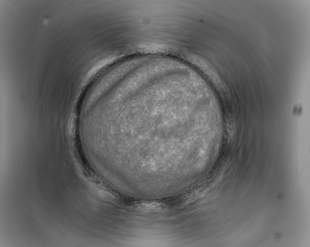 X0000101120583200807241201