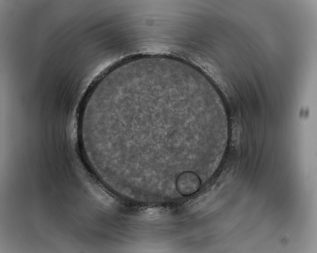 X0000101120584200807241201