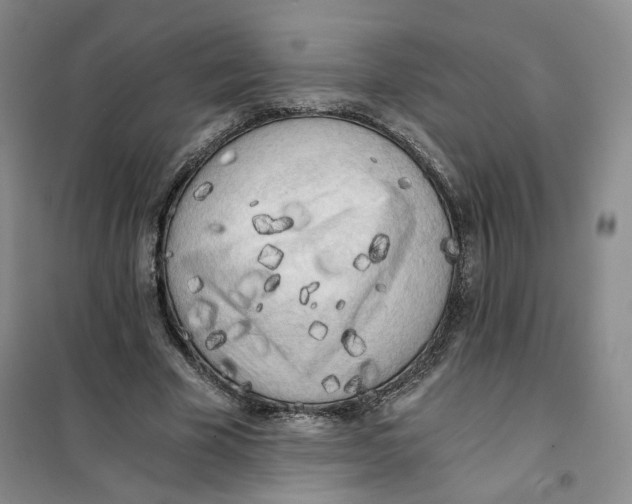 X0000101120585200807241201