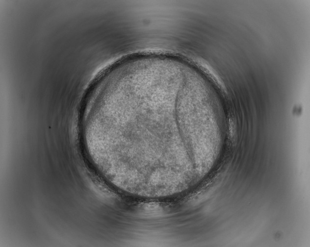 X0000101120588200807241201