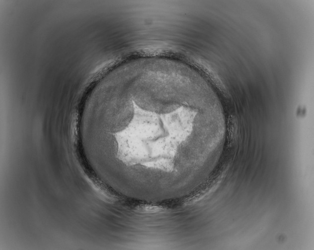 X0000101120590200807241201