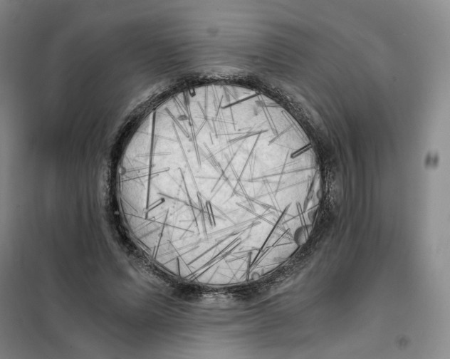 X0000101120591200807241201