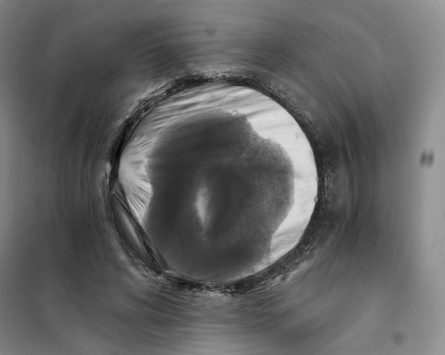 X0000101120592200807241201