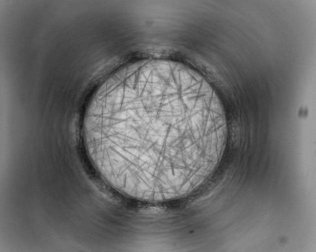 X0000101120594200807241201