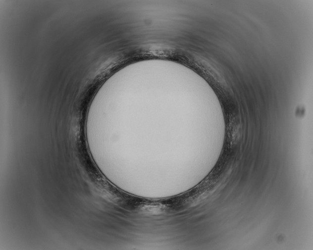 X0000101120595200807241201