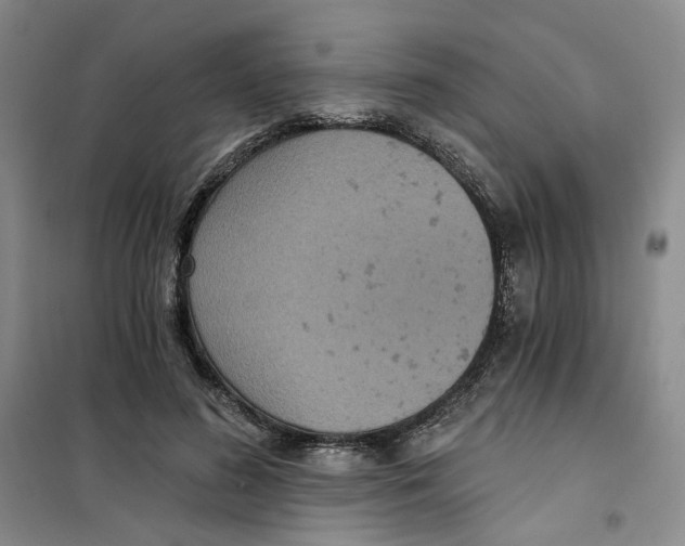 X0000101120596200807241201