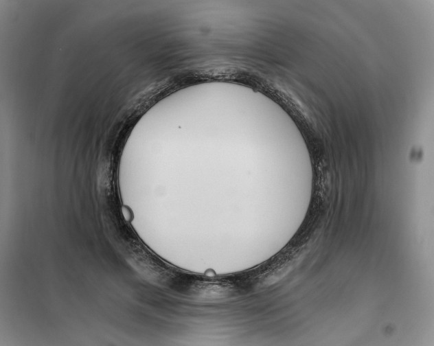 X0000101120597200807241201