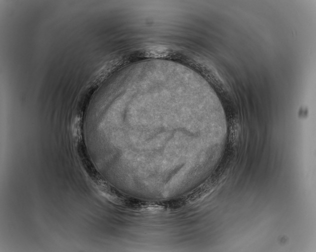 X0000101120598200807241201