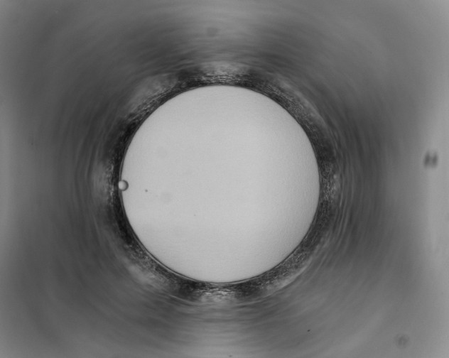 X0000101120599200807241201
