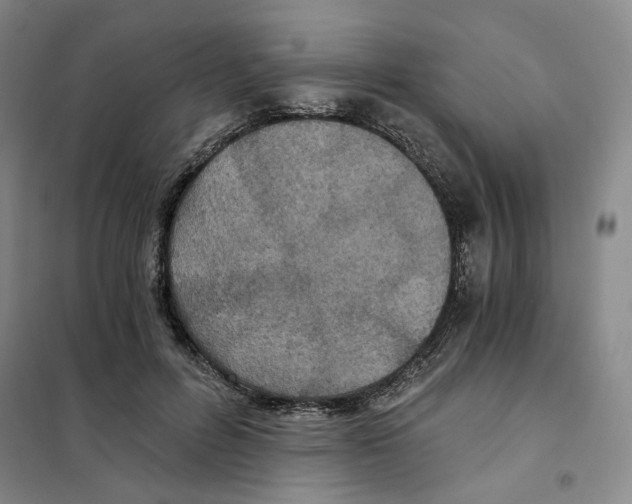 X0000101120600200807241201