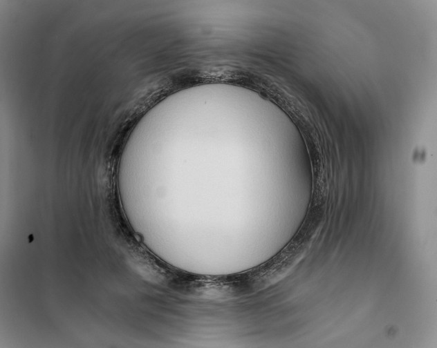 X0000101120601200807241201