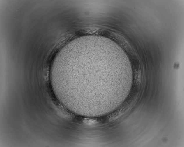 X0000101120602200807241201