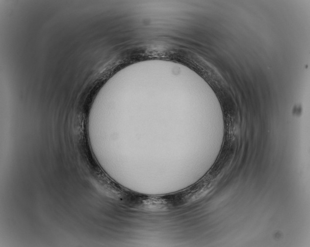 X0000101120603200807241201