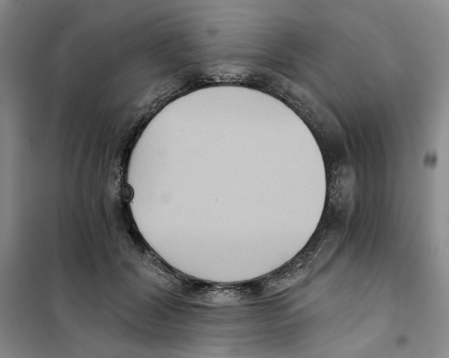 X0000101120604200807241201