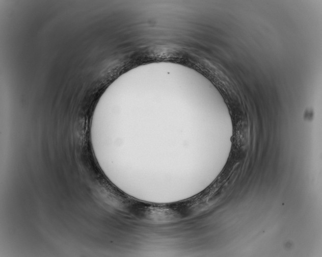 X0000101120605200807241201