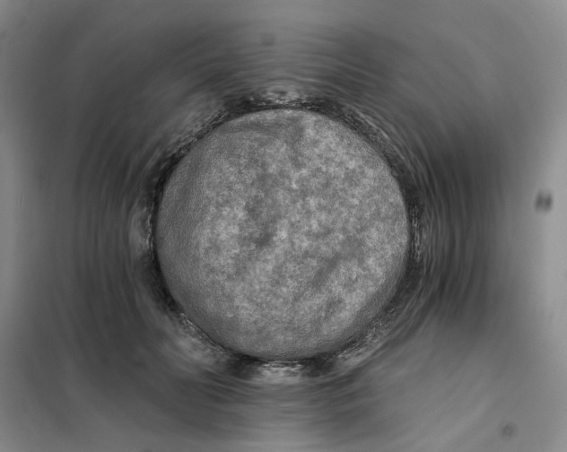 X0000101120606200807241201