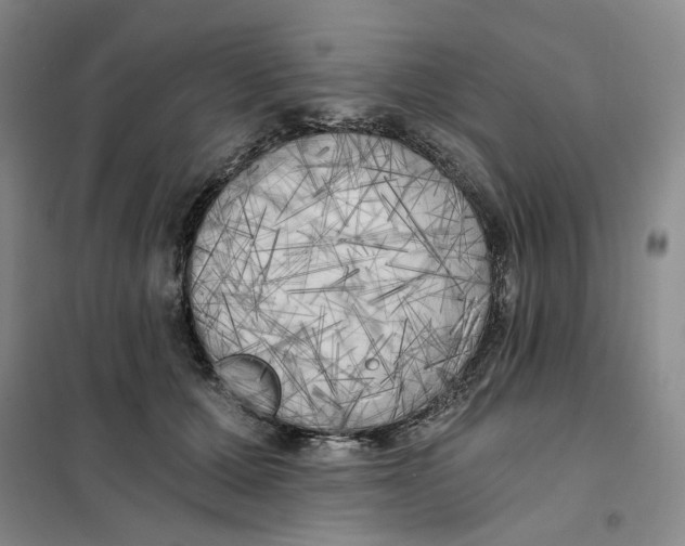 X0000101120607200807241201