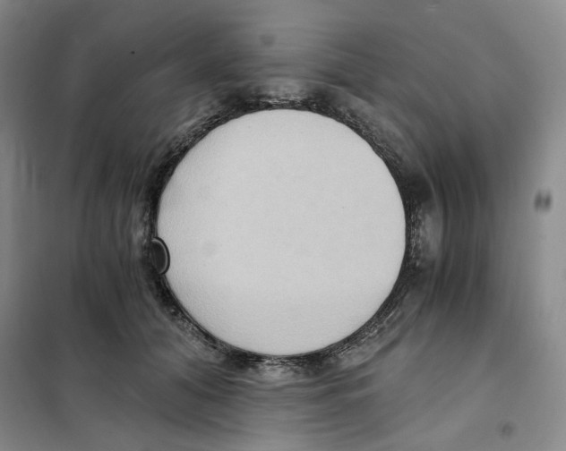 X0000101120608200807241201