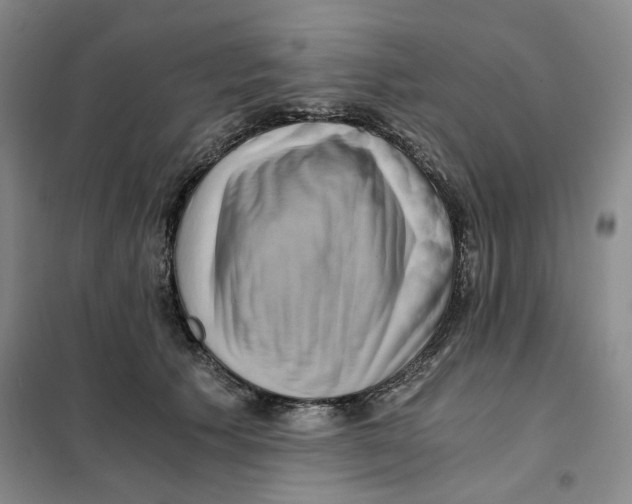 X0000101120609200807241201