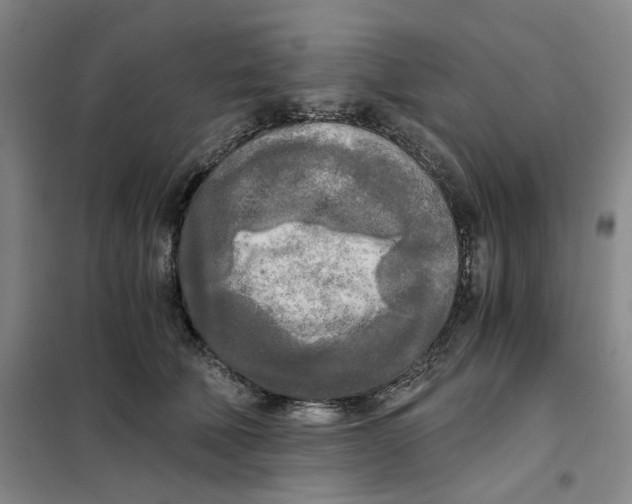 X0000101120610200807241201