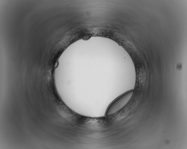 X0000101120611200807241201
