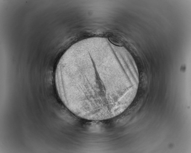 X0000101120612200807241201