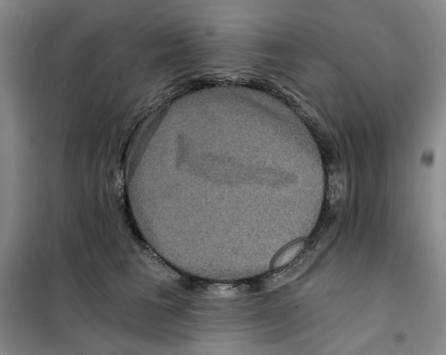X0000101120613200807241201